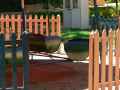 Manege-en-bidons-decoupes-20131020231609.jpg