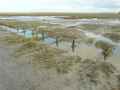 Maree-basse-20121002160004.jpg