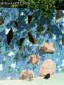 Mur-ajoure-20120822183629.jpg