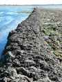 Mur-d-ecluse-20131026130730.jpg