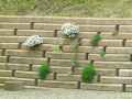 Mur-de-soutenement-plante-de-vivaces-20130709134951.jpg