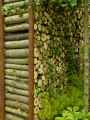 Mur-en-rondins-de-bois-20120817183029.jpg