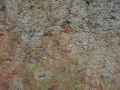 Mur-en-torchis-20130114163018.jpg