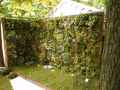 Mur-vegetal-20131020222020.jpg