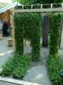 Murs-vegetaux-en-rouleaux-20131020224238.jpg