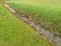Noue-peu-profonde-20130114165050.jpg