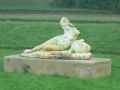 Nymphe-20131020235429.jpg