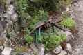 Outil-de-jardin-etrange-20131020214110.jpg