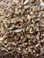 Paillage-eclats-de-coco-20130709132652.jpg