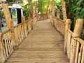 Passerelle-en-bois-20120822183541.jpg