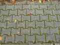 Pave-beton-autobloquant-20130114180249.jpg
