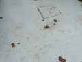 Peinture-resine-20130114180409.jpg