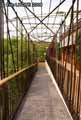Pergola-bambou-20120817191355.jpg