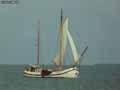 Petit-bateau-20131020214737.jpg