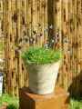 Petites-fleurs-en-metal-20130427221656.jpg