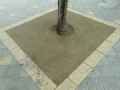 Pied-d-arbre-en-sable-resine-20130709140541.jpg