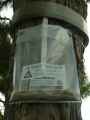 Piege-a-chenilles-processionnaires-20131021000325.jpg