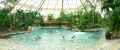 Piscine-couverte-center-parcs-20131020232307.jpg