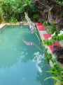 Piscine-fleurie-20130709191346.jpg