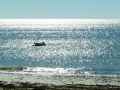 Plage-avec-mer-irisee-20131020192730.jpg