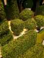 Plantes-synthetiques-20130114173835.jpg