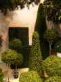Plantes-synthetiques-20130114173904.jpg