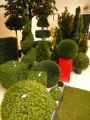 Plantes-synthetiques-20130114173928.jpg