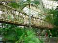 Pont-suspendu-en-bambou-20120822170020.jpg