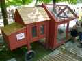 Poulailler-20130709191837.jpg