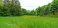Prairie-en-lisiere-de-bois-20130709134101.jpg