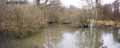 Ripisylve-en-hiver-20120822173903.jpg
