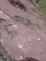 Roche-basaltique-20120822210347.jpg