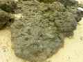 Roche-marine-20120822205256.jpg