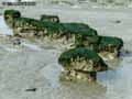 Rochers-calcaires-emergeants-a-maree-basse-20120822205609.jpg