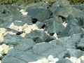 Rochers-noirs-20131020192659.jpg