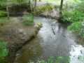 Ruisseau-20131020191627.jpg