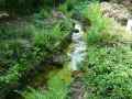 Ruisseau-fougeres-et-enrochements-20120822165105.jpg