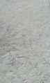 Sable-stabilise-20120904003659.jpg