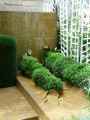 Scene-de-plantes-et-d-acier-corten-dechire-20131026131401.jpg