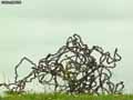 Sculpture-chaine-en-fer-20120822191337.jpg