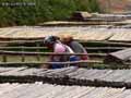 Semeuses-africaines-20120822230722.jpg