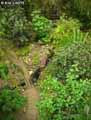 Serre-tropicale-20120822174104.jpg