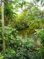 Serre-tropicale-20120822174135.jpg