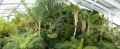 Serre-tropicale-20131020212642.jpg