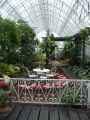 Serre-tropicale-20131020220414.jpg