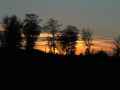 Soleil-couchant-sur-la-foret-20131020235008.jpg