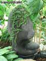 Statue-cambodgienne-20120822191618.jpg
