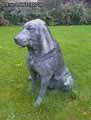 Statue-de-chien-en-fonte-20120822190433.jpg