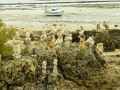 Statues-en-galets-20120822190154.jpg