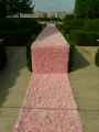 Tapis-de-roses-20131021000632.jpg